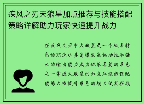 疾风之刃天狼星加点推荐与技能搭配策略详解助力玩家快速提升战力